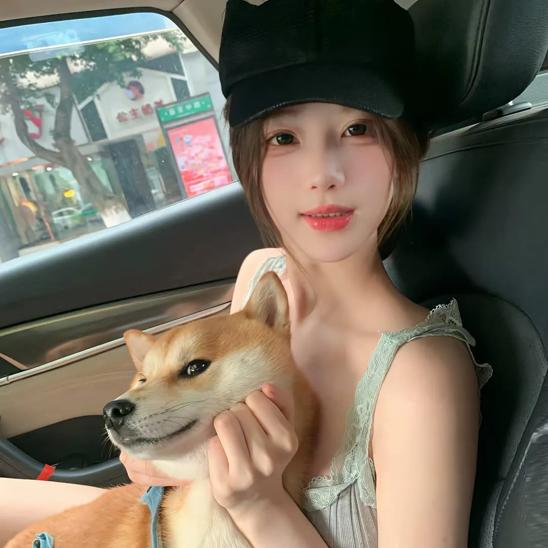 新辰之上